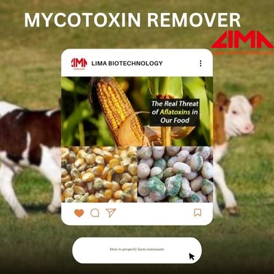 Lima biotech mycotoxin remover