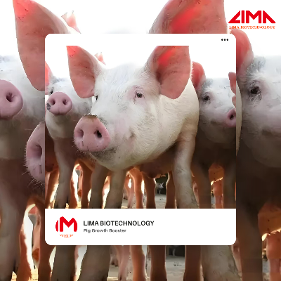 Lima biotech pig feed additives