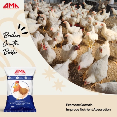 broiler feed additives